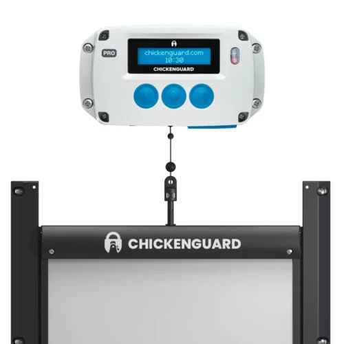 Chickenguard () Chickenguard