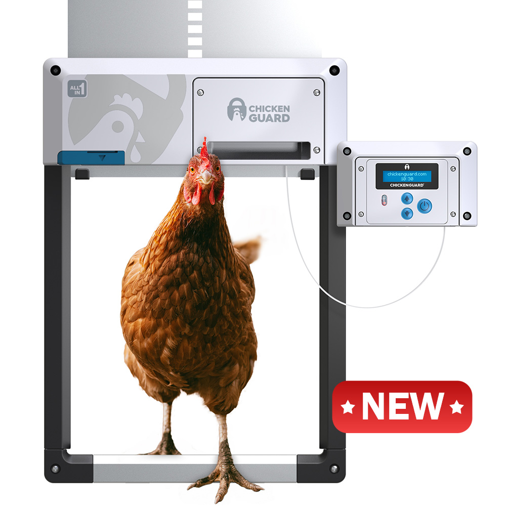 automatic chicken coop door