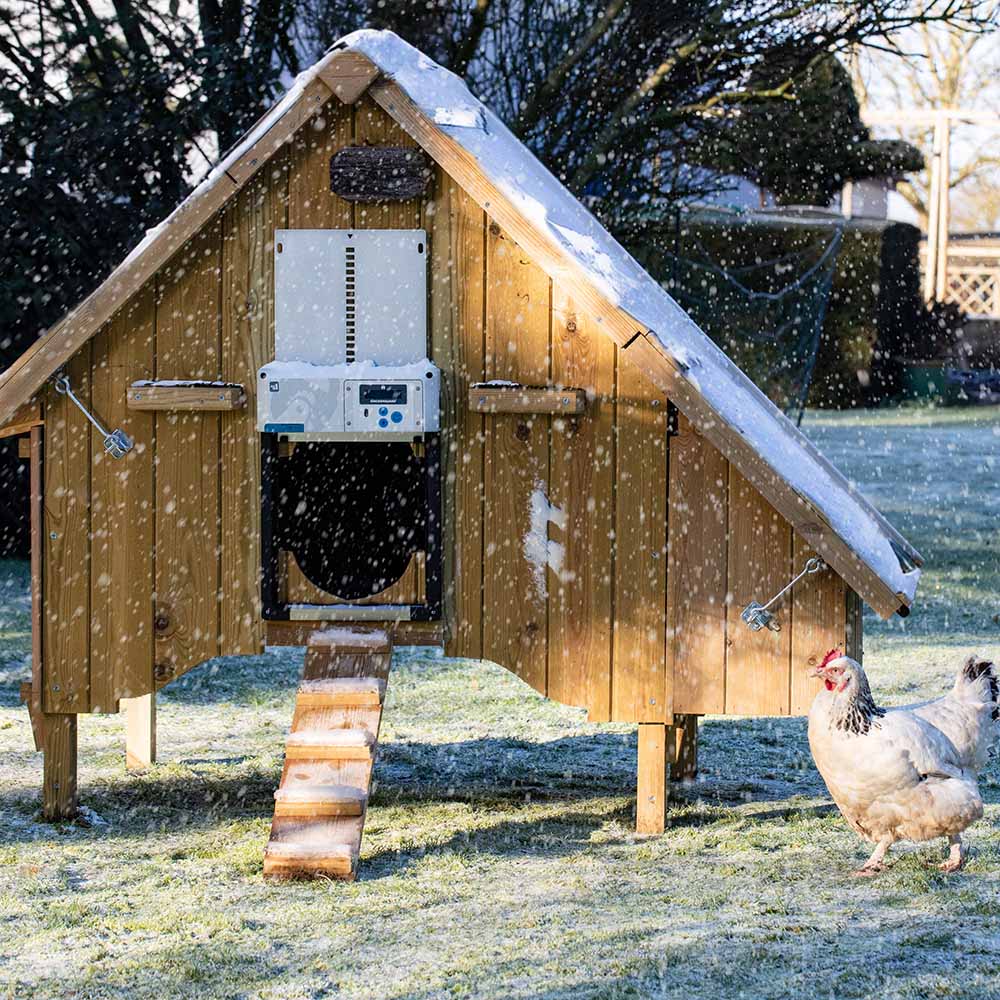 Chickenguard All In One - The Best Automatic Chicken Coop Door