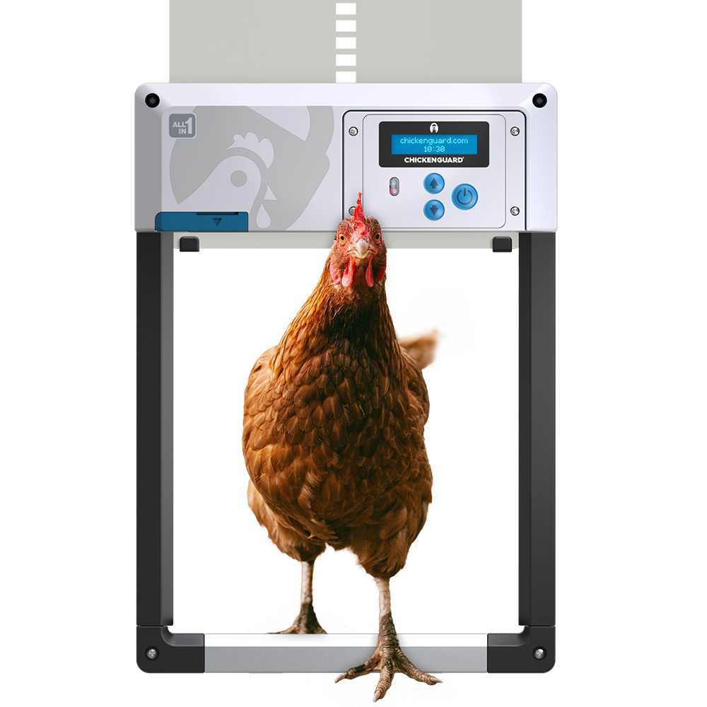 ChickenGuard-all-in-one-autoamtic-chicken-coop-door-opener