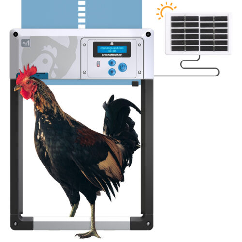 ChickenGuard-all-in-one-blue-solar-autoamtic-chicken-coop-door-opener