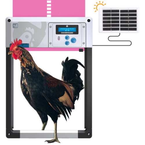 All in One Solar (pink)