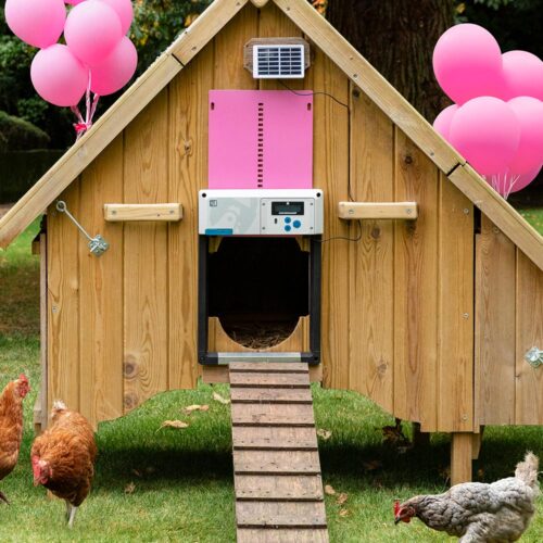autoamtic-chicken-coop-door-opener-pink3