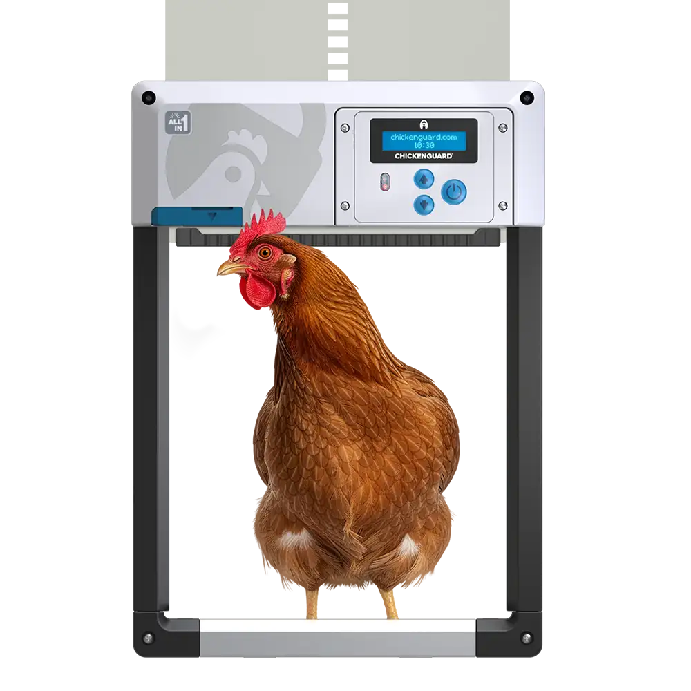 ChickenGuard-all-in-one-autoamtic-chicken-coop-door-opener 2026